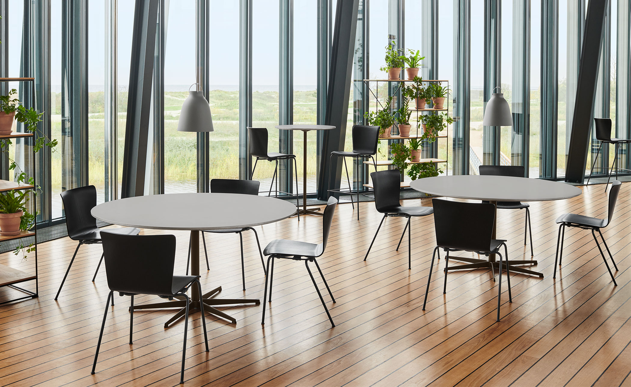 6 star circular table