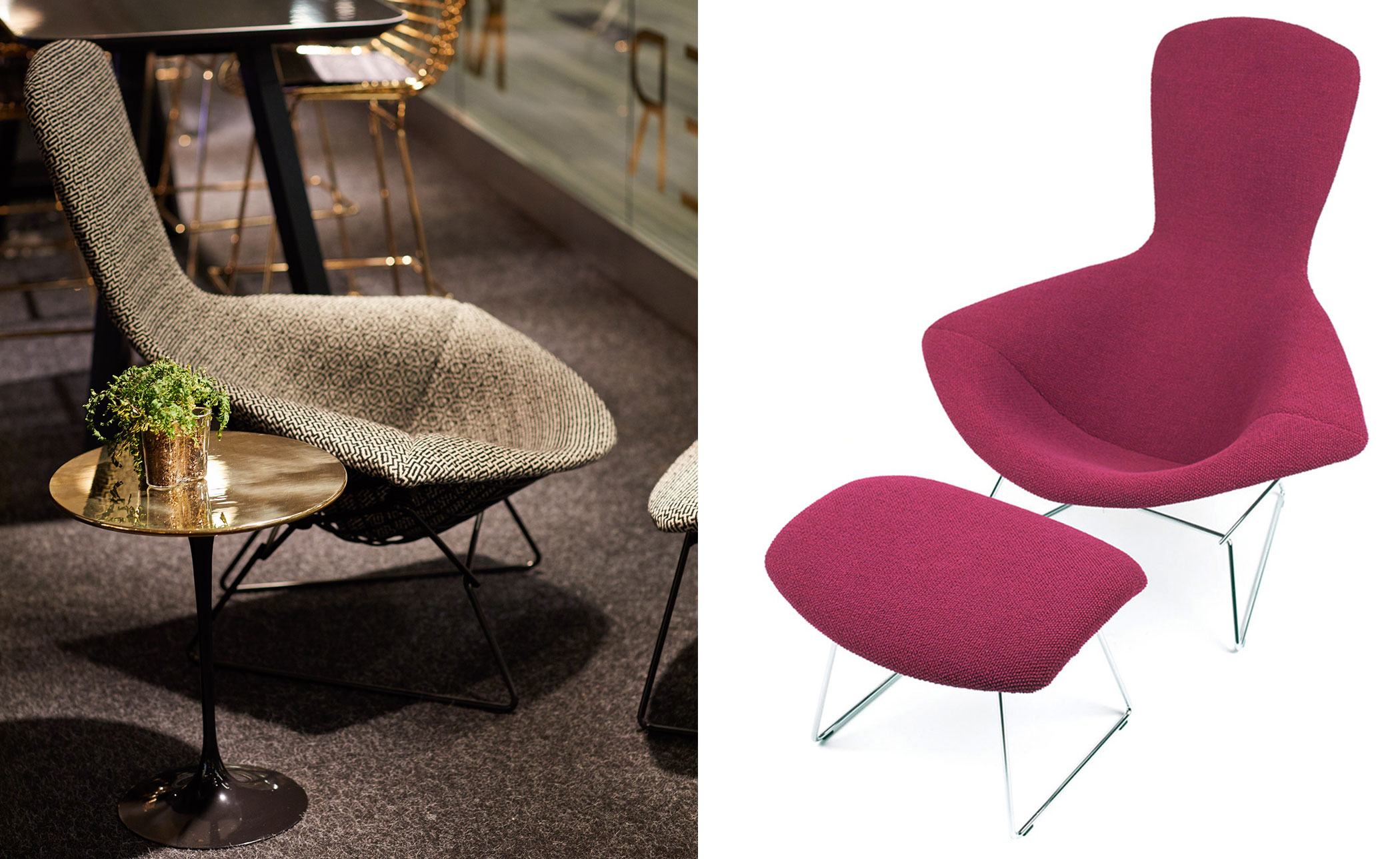 bertoia bird chair & ottoman