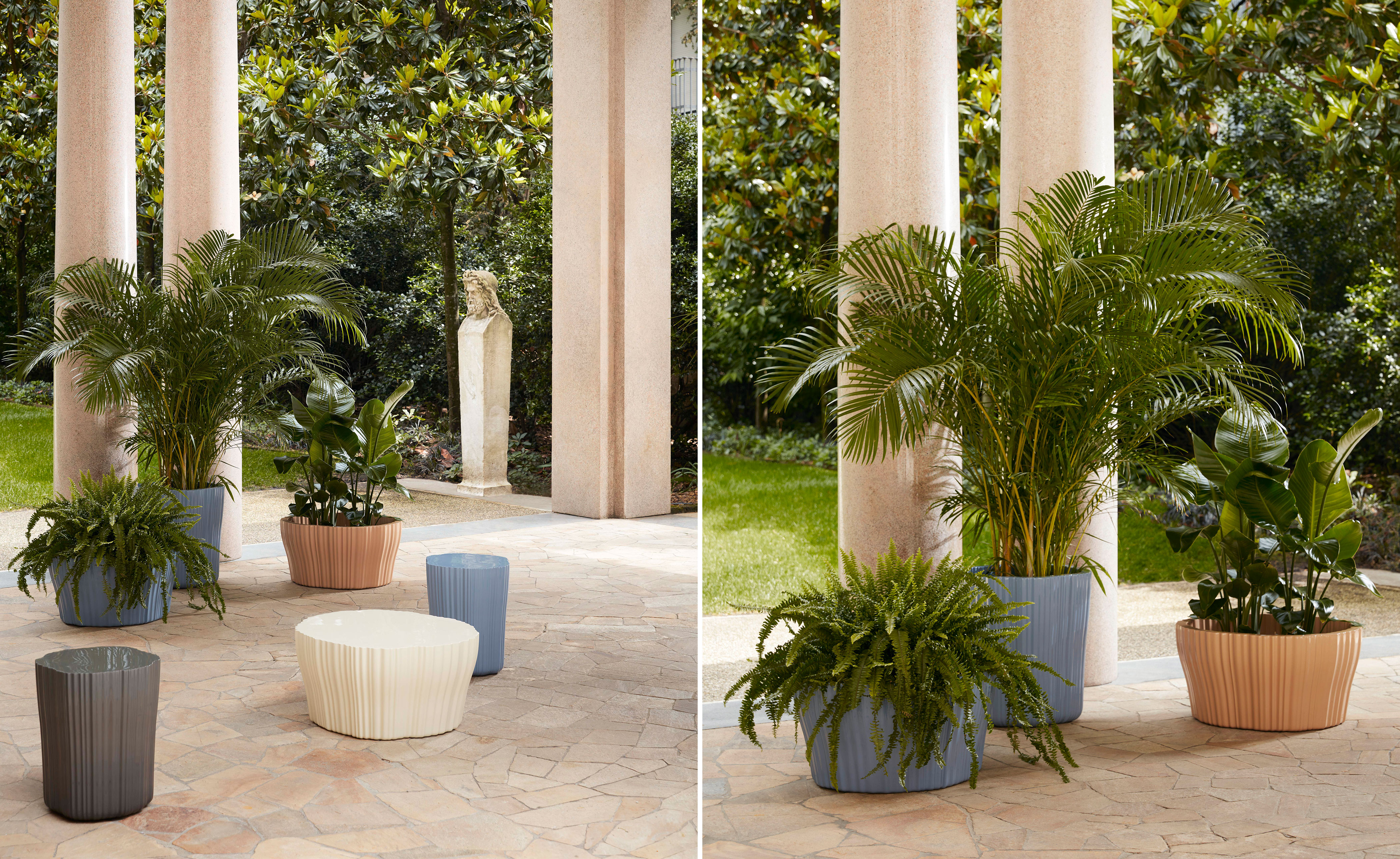 Corteza Planter