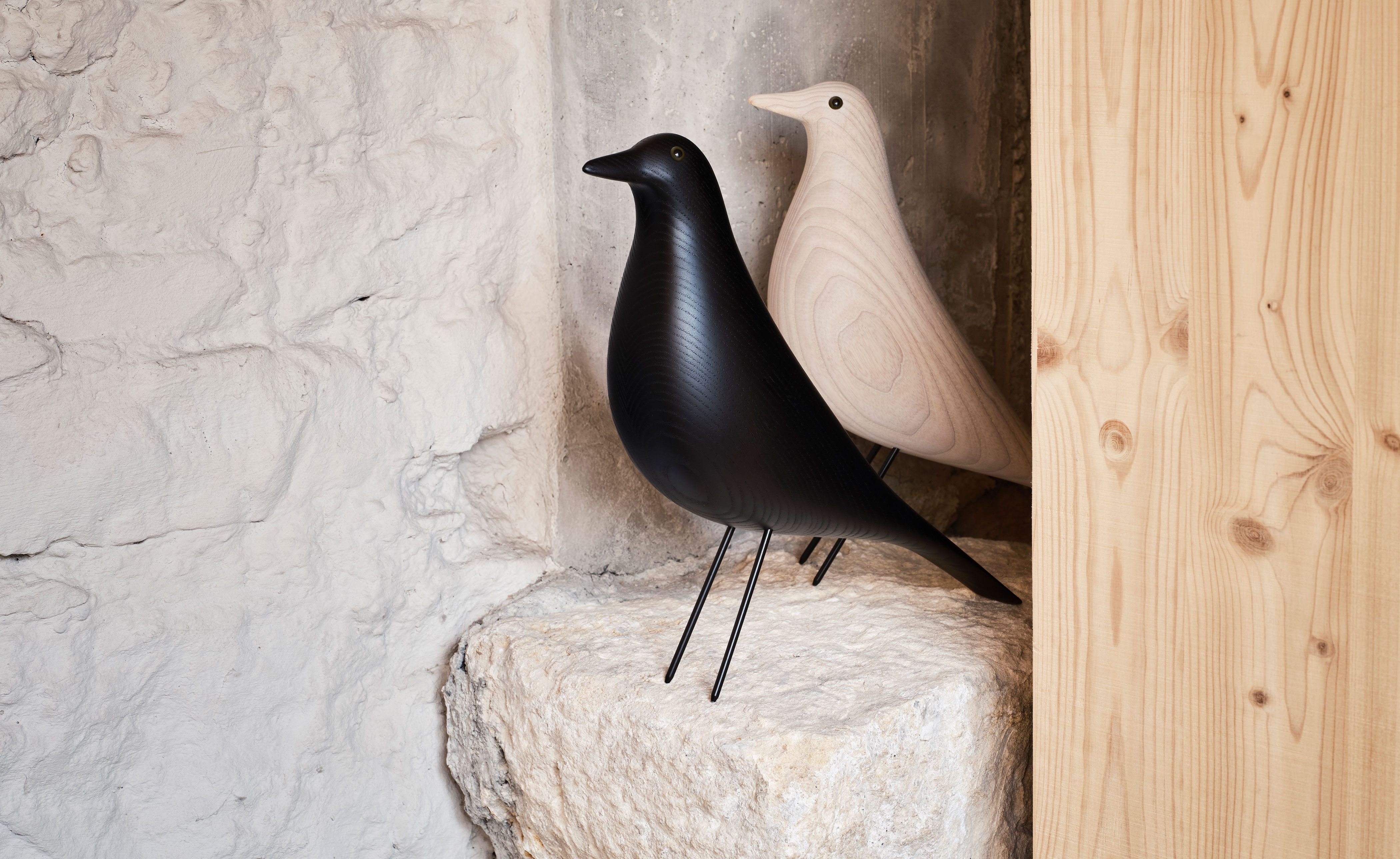 eames house bird