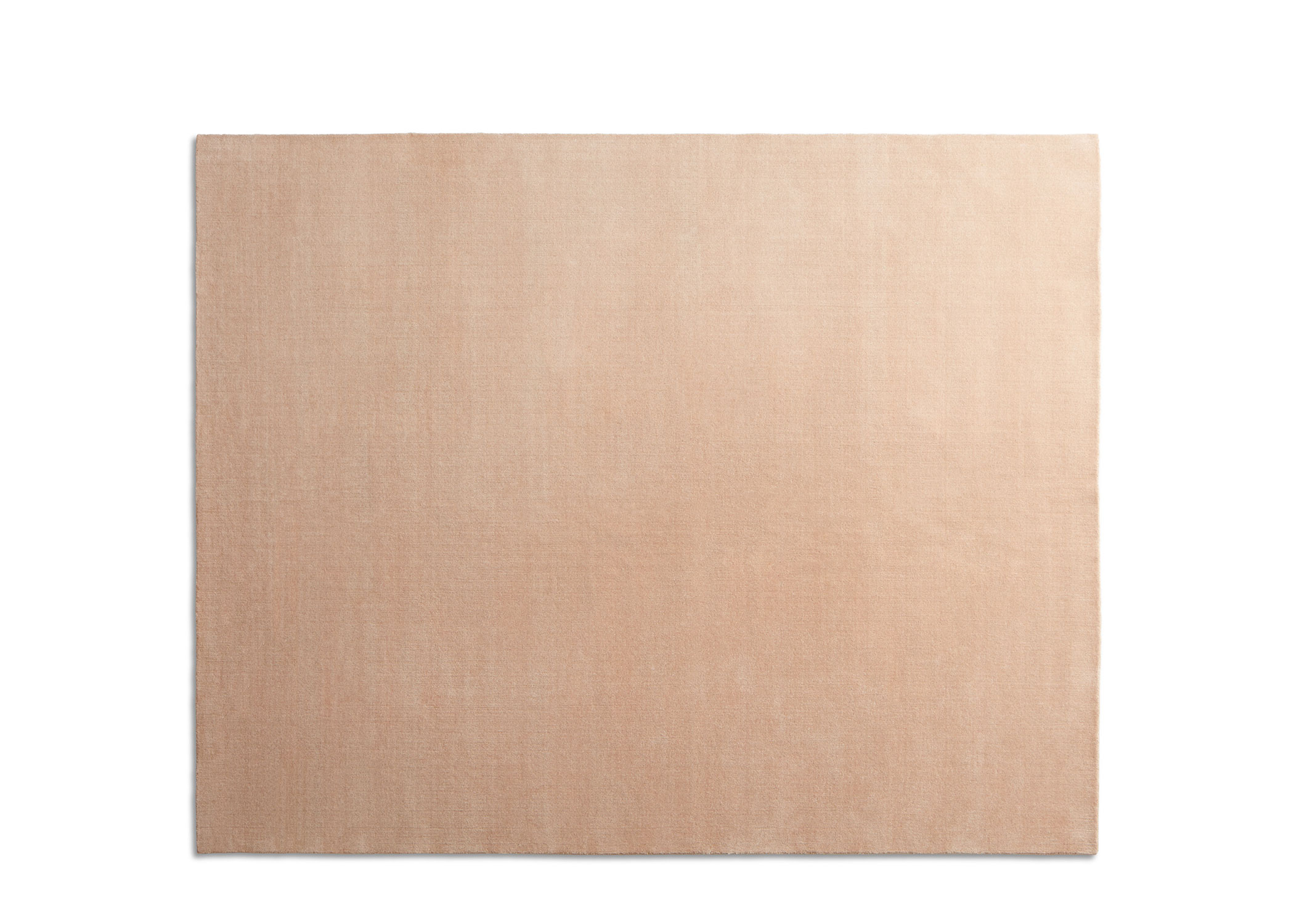 filtered out rug
