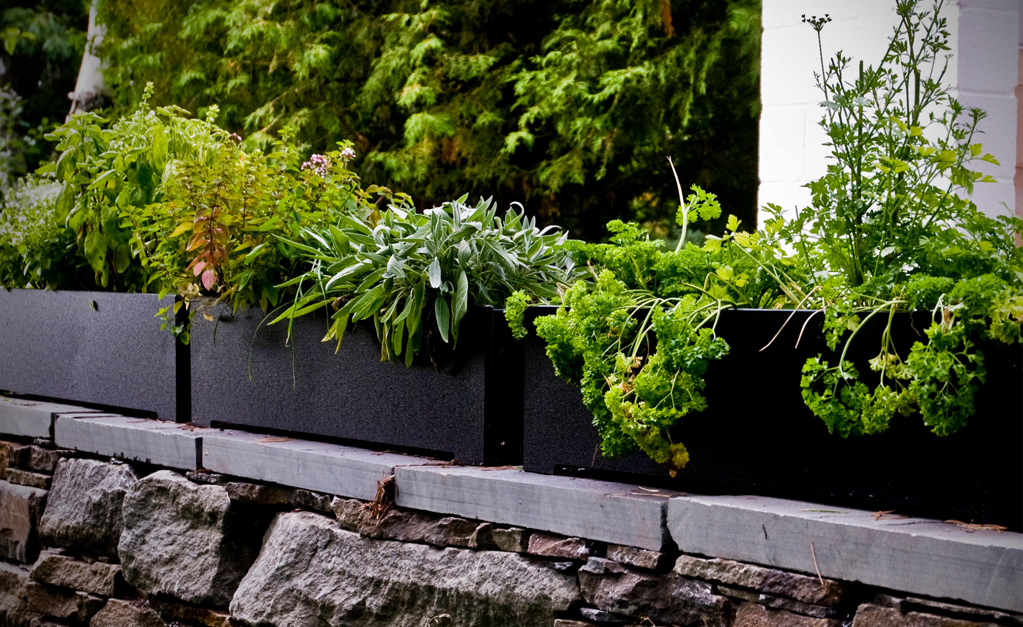 Flora Rectangle Planter