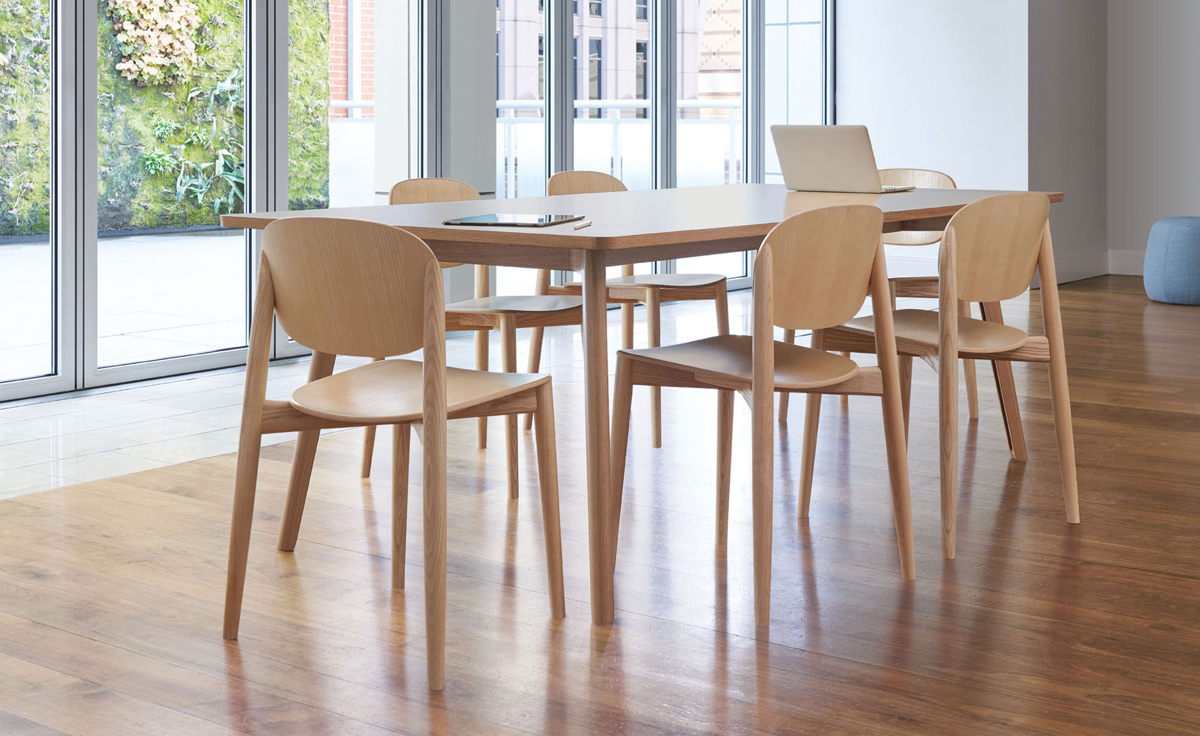 Halo Dining Chair