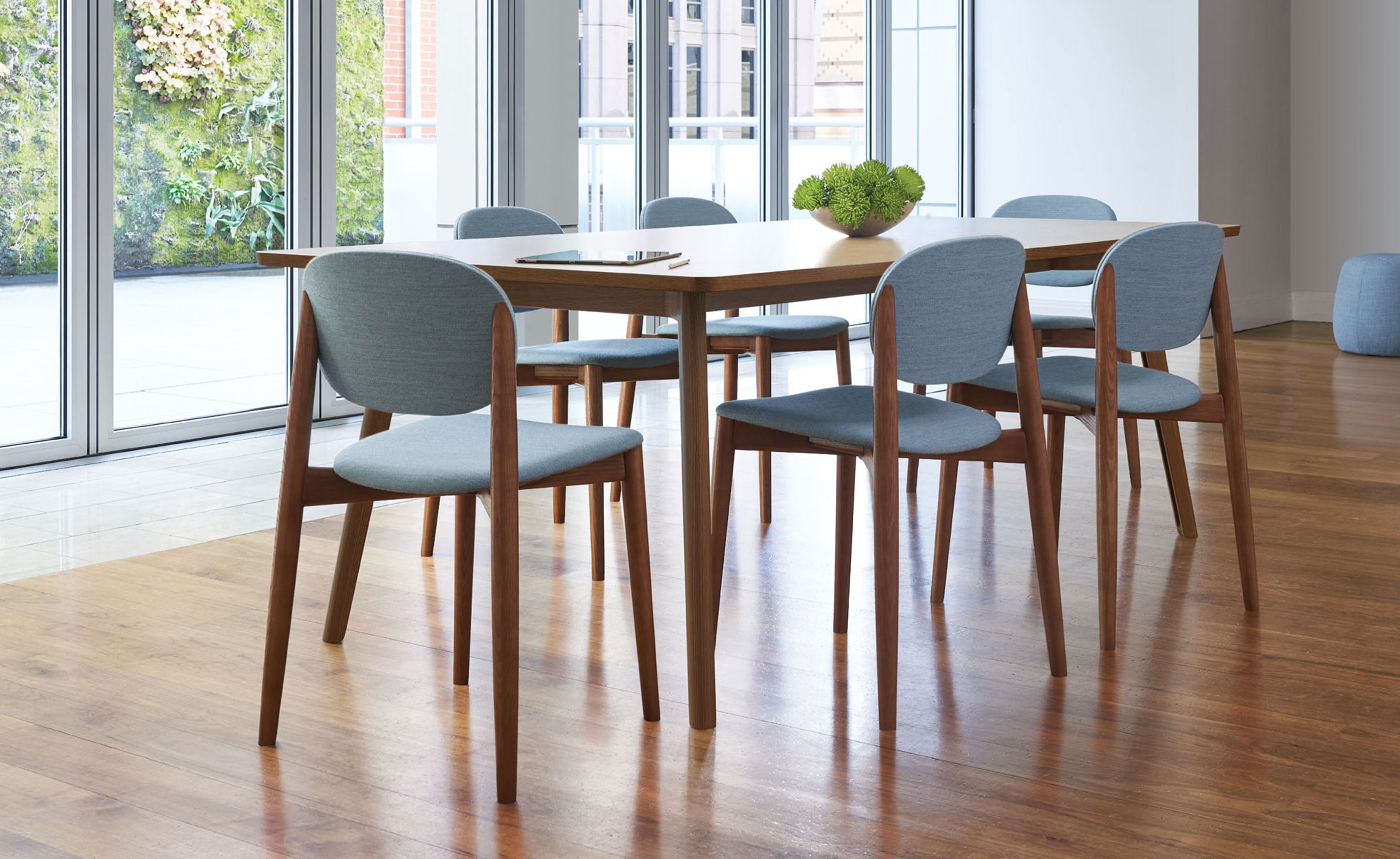 Halo Dining Chair