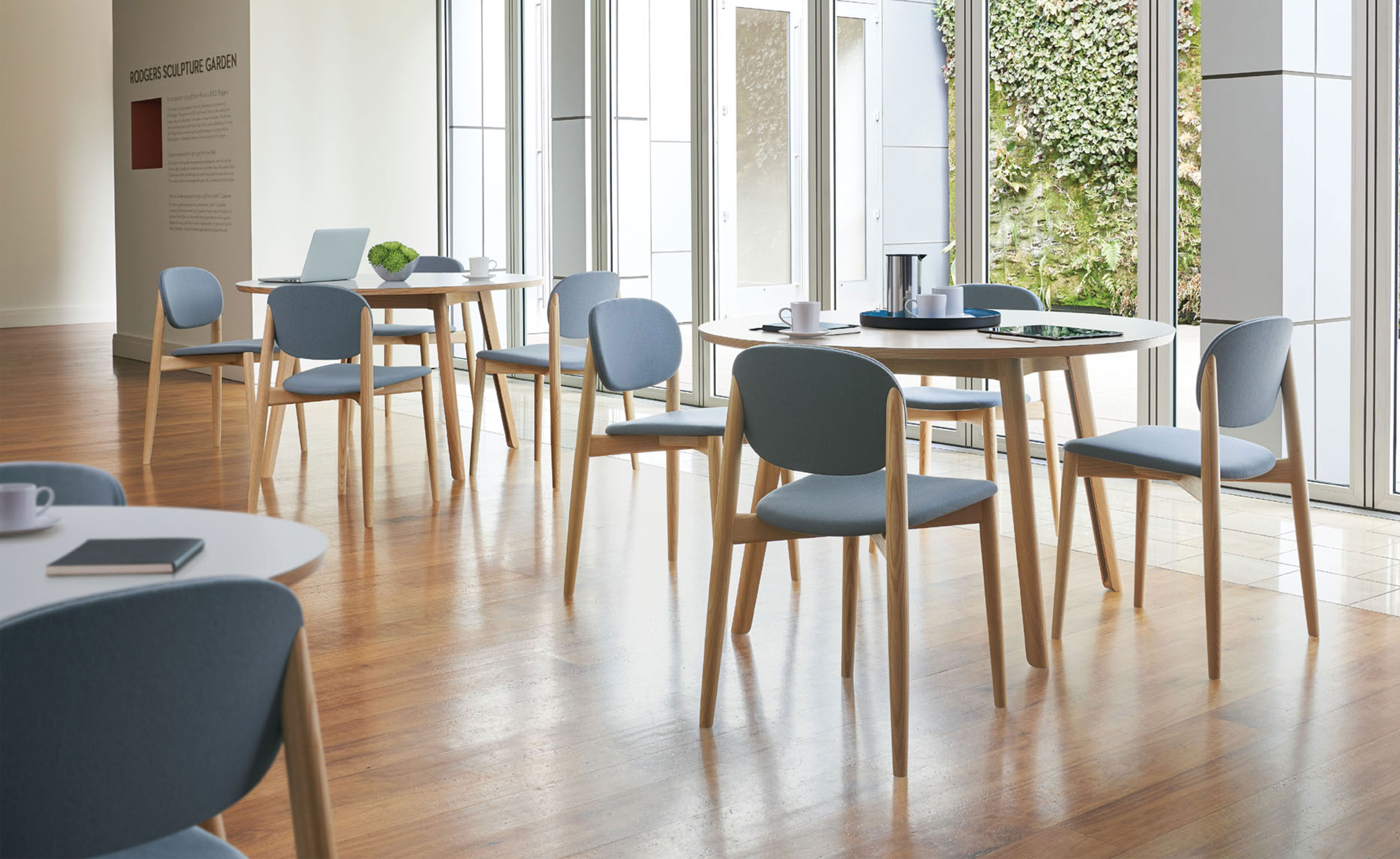 Halo Dining Chair