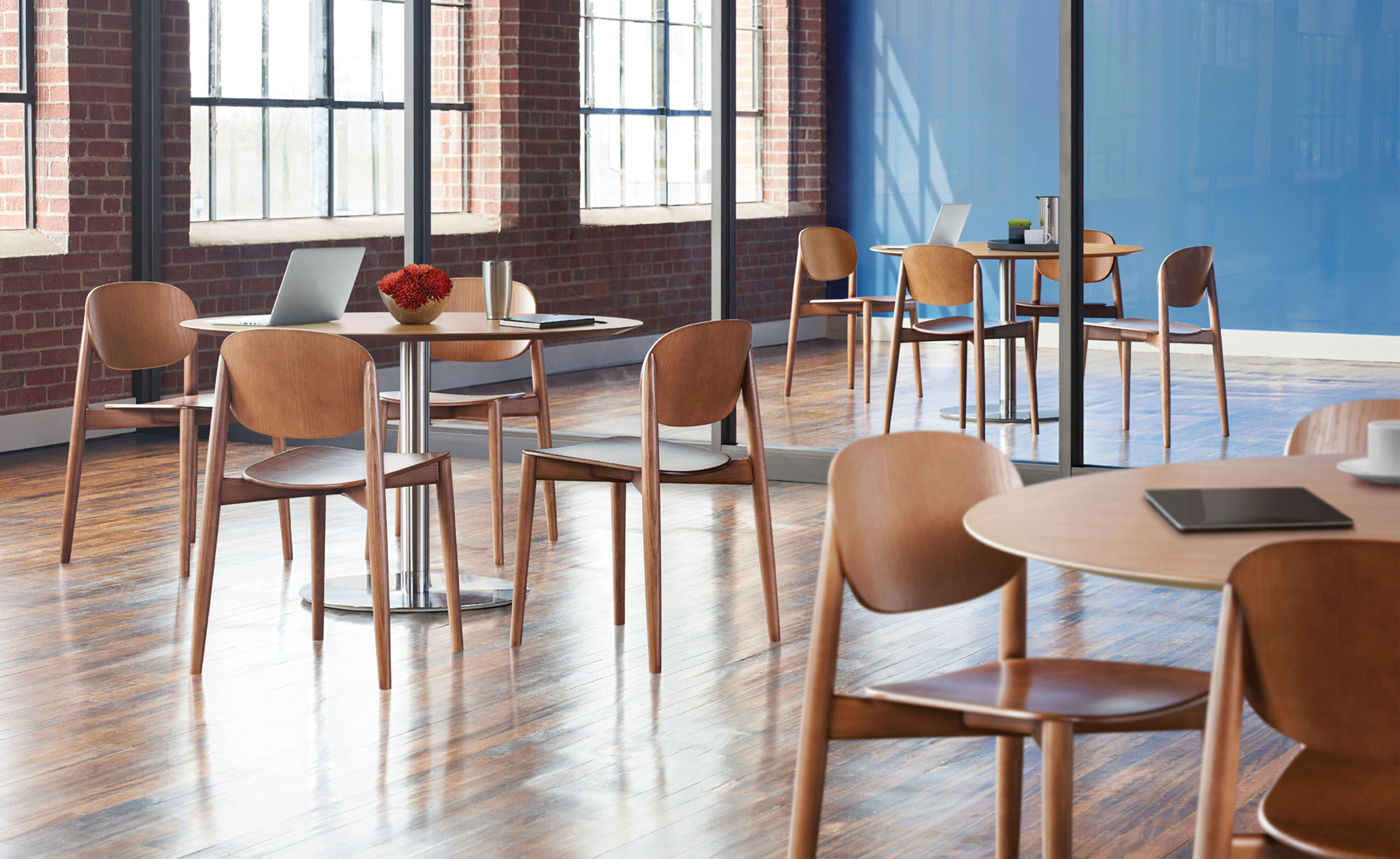 Halo Dining Chair