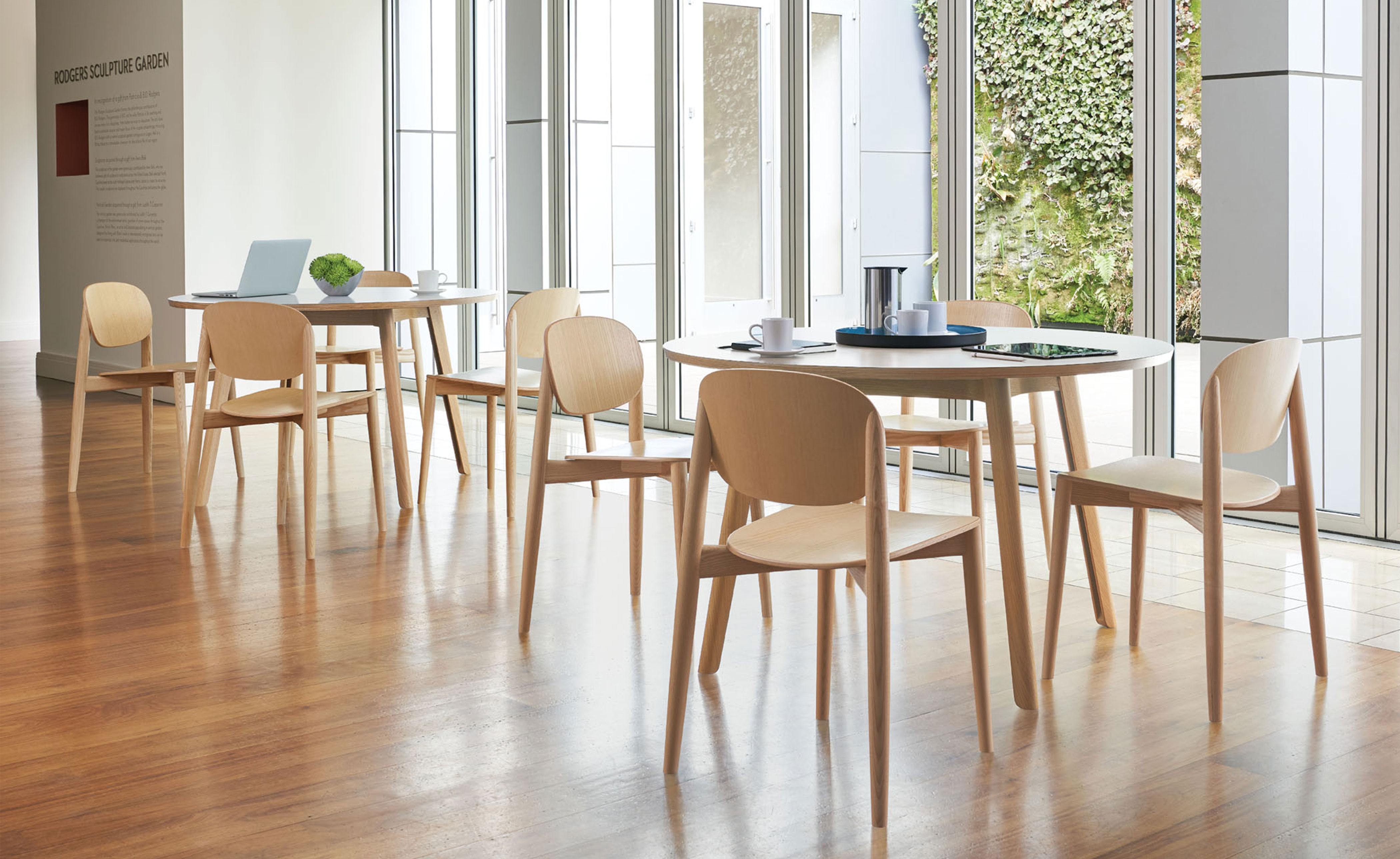Halo Dining Chair