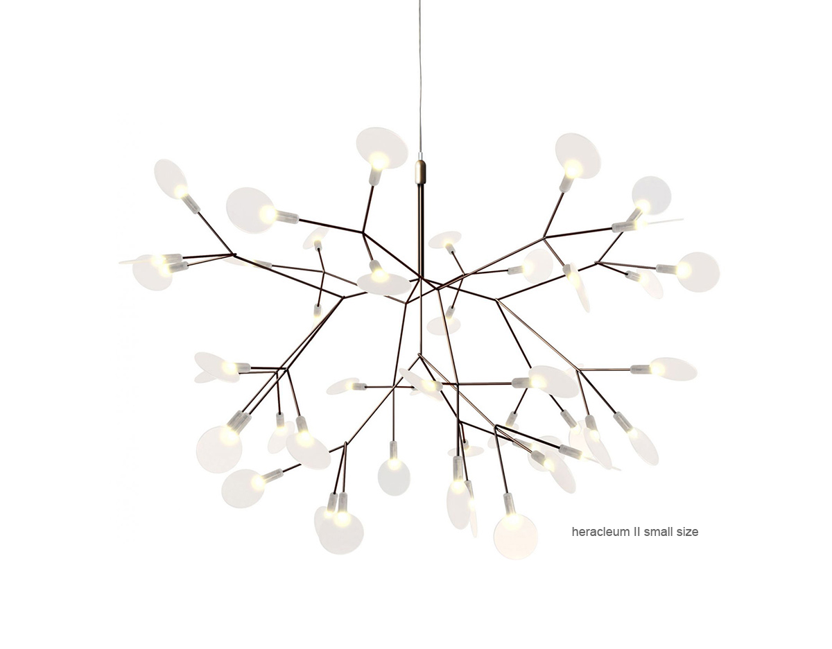 heracleum suspension light