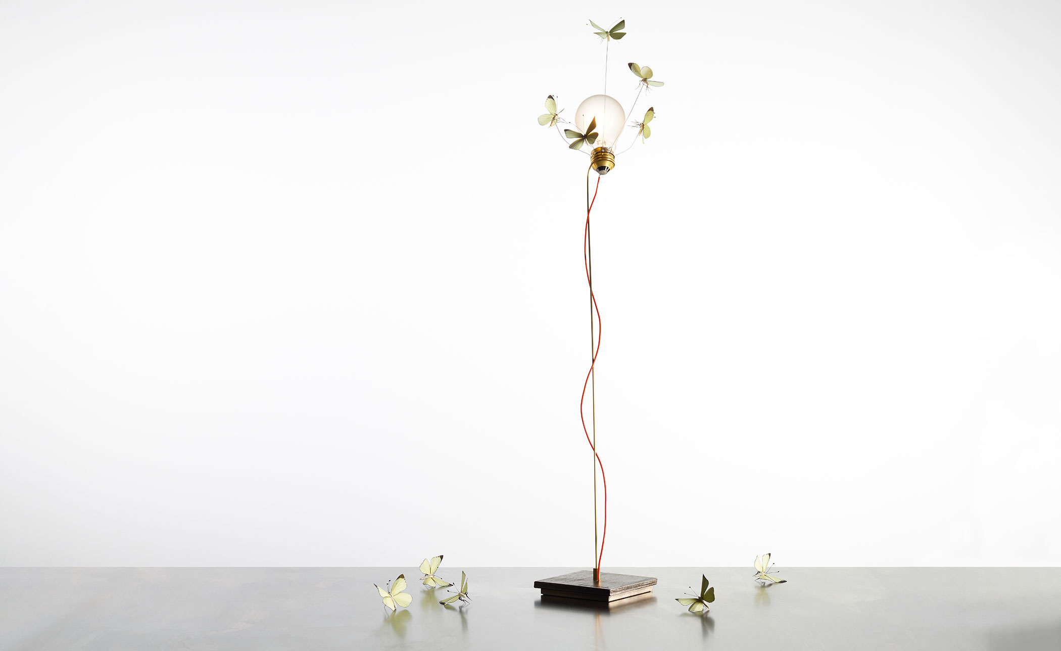 I Ricchi Poveri - Five Butterflies Table Lamp, Limited Edition