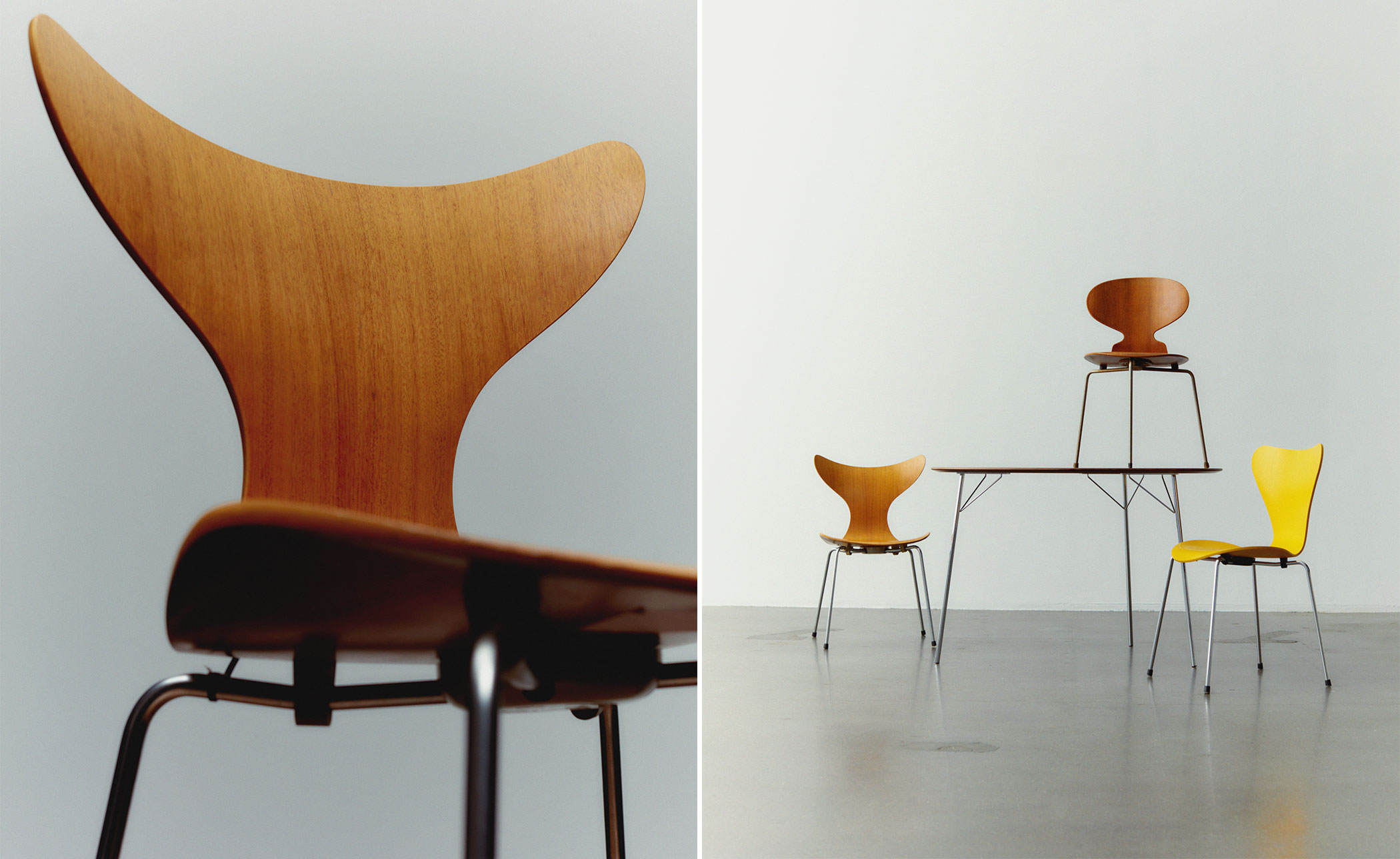 lily armchair