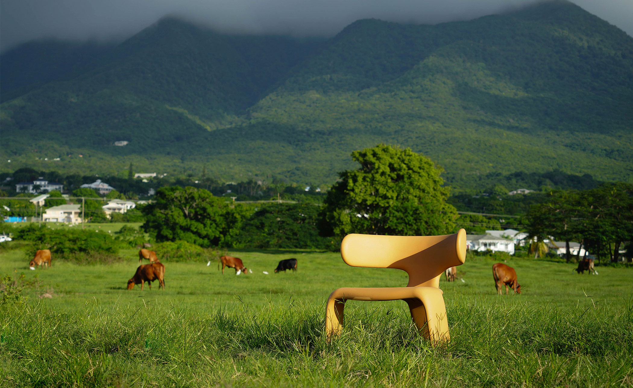 Limbo Chair