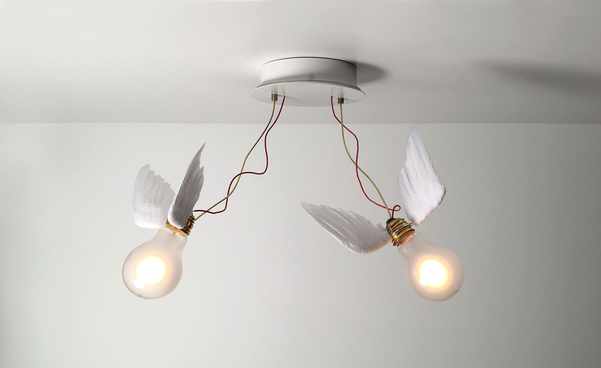 Lucellino Doppio Wall/Ceiling Lamp