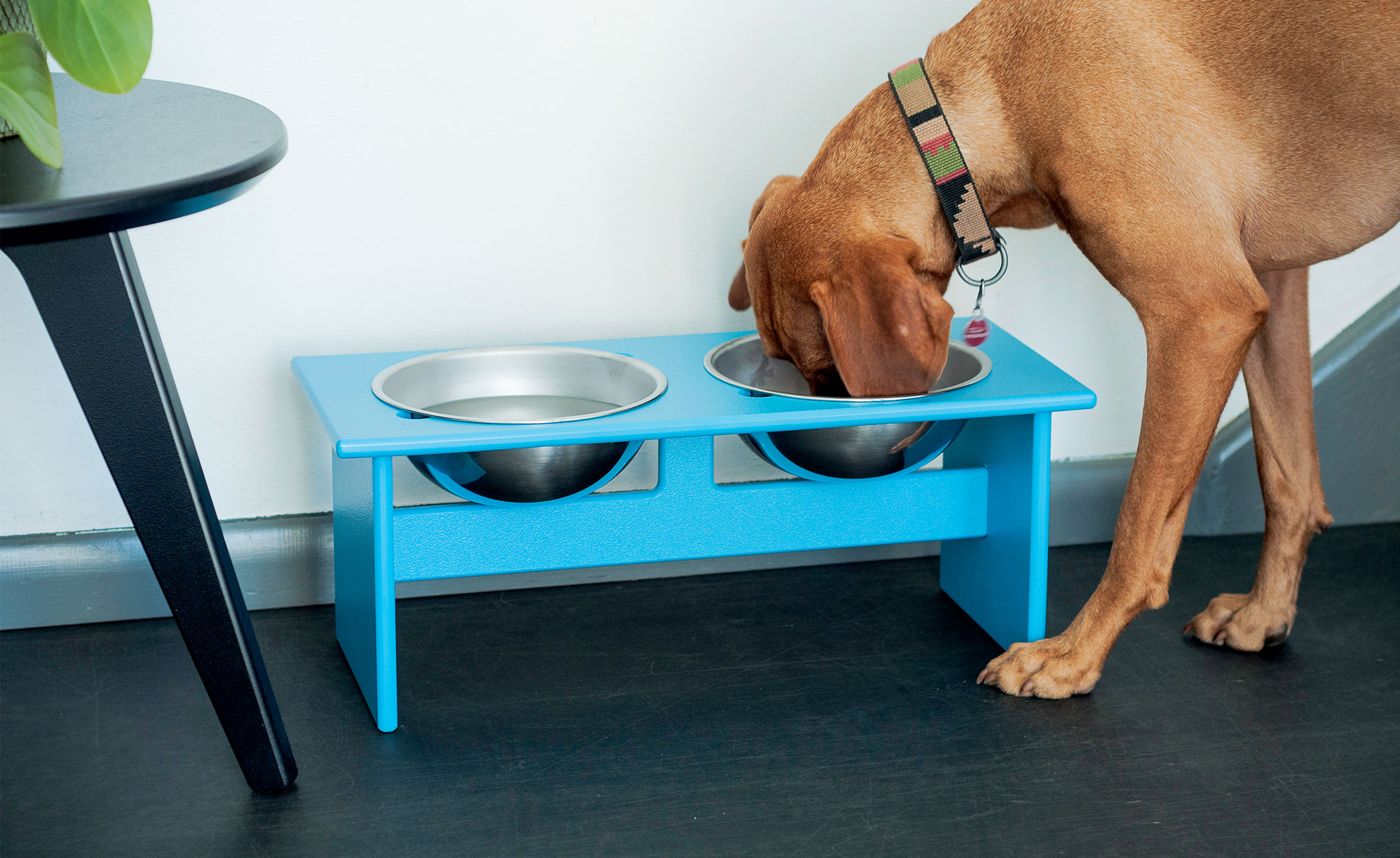 Minimalist Dog Bowl