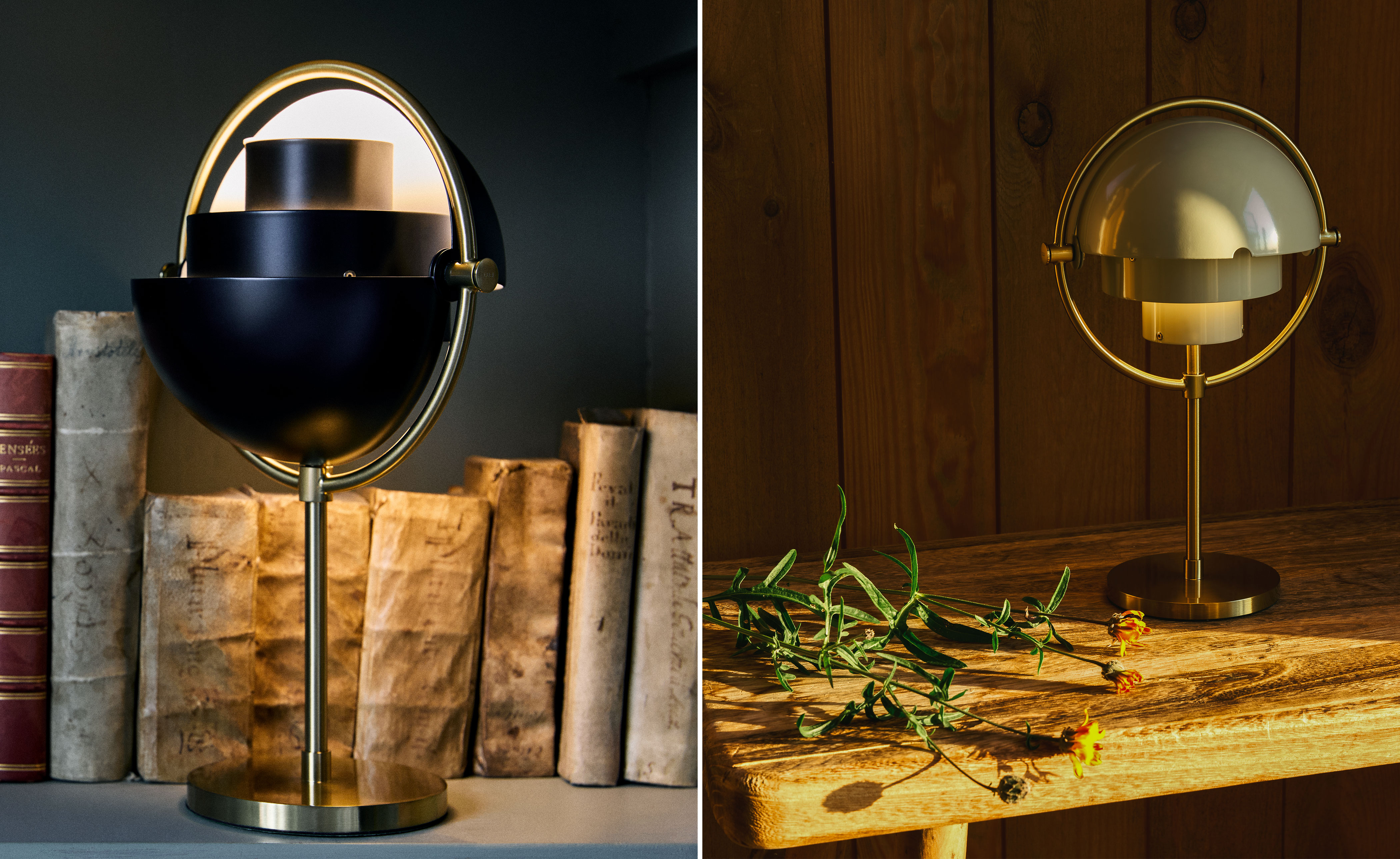 Multi-lite Portable Lamp