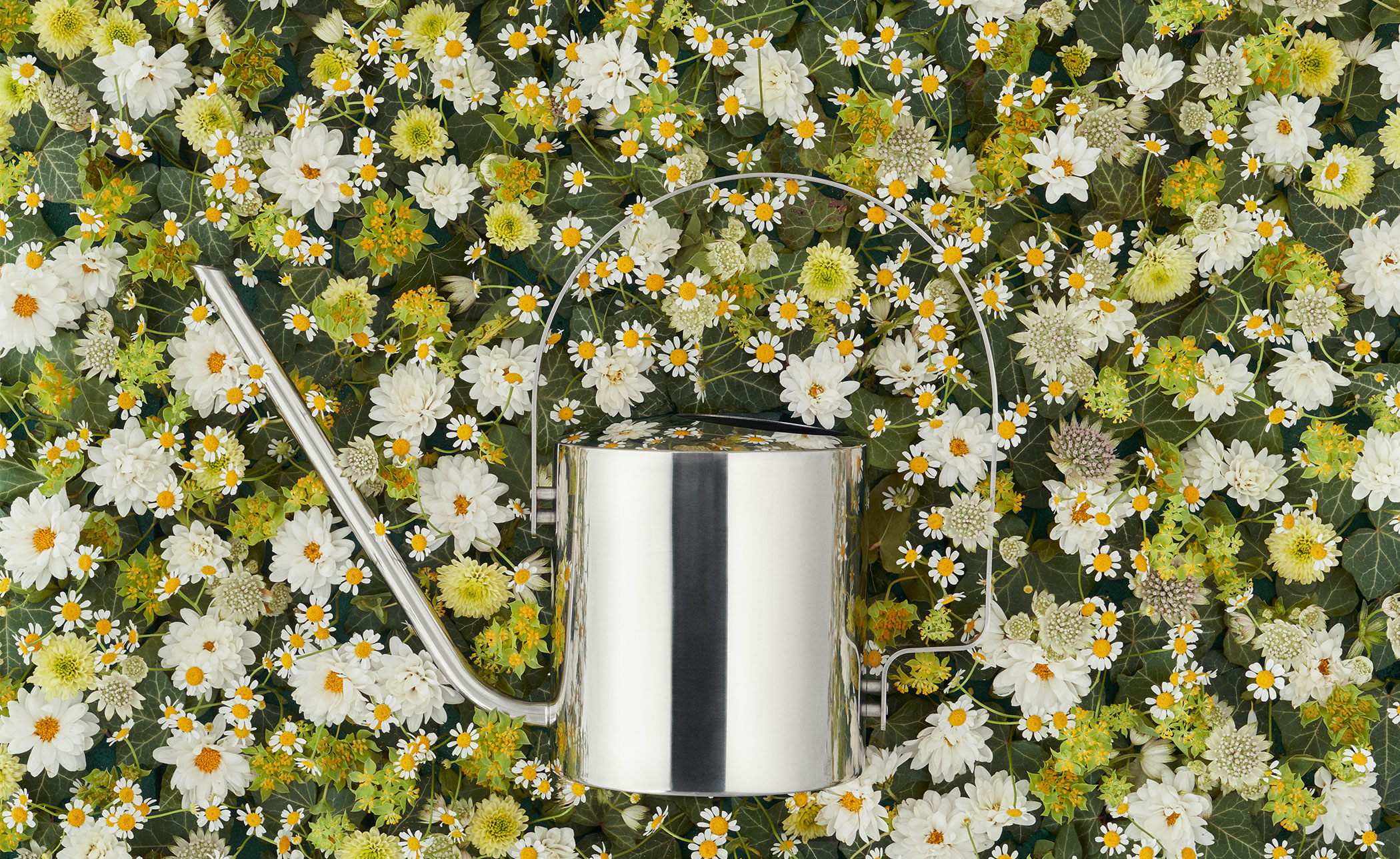 Original Flower Watering Can