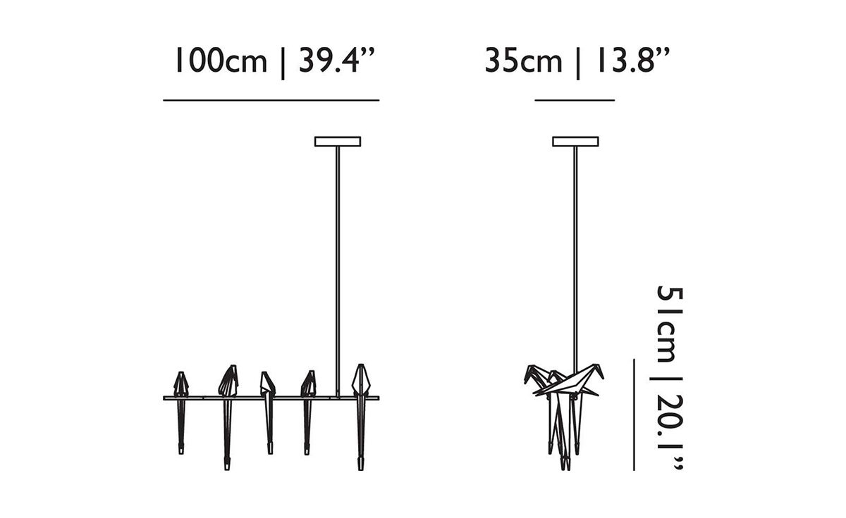 perch light branch