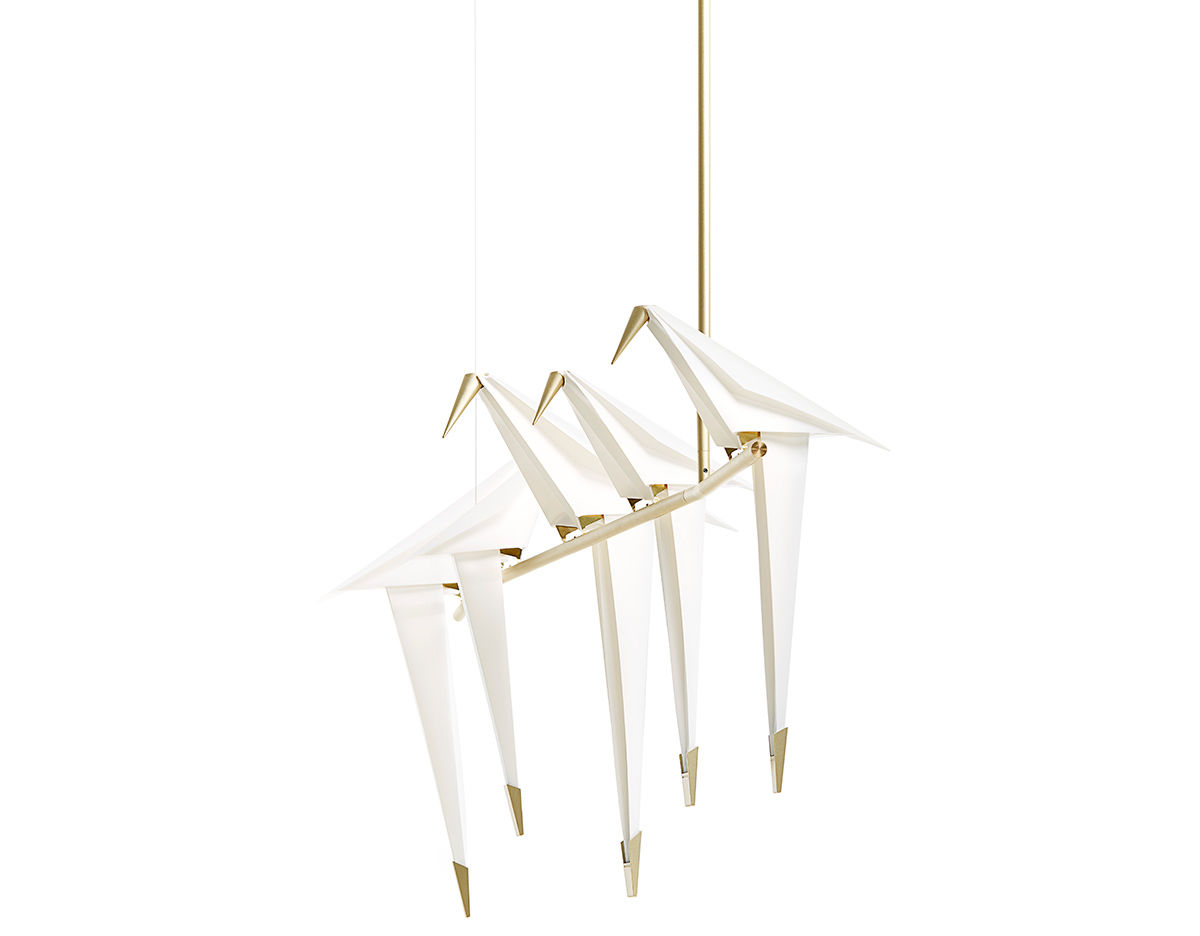 perch light branch