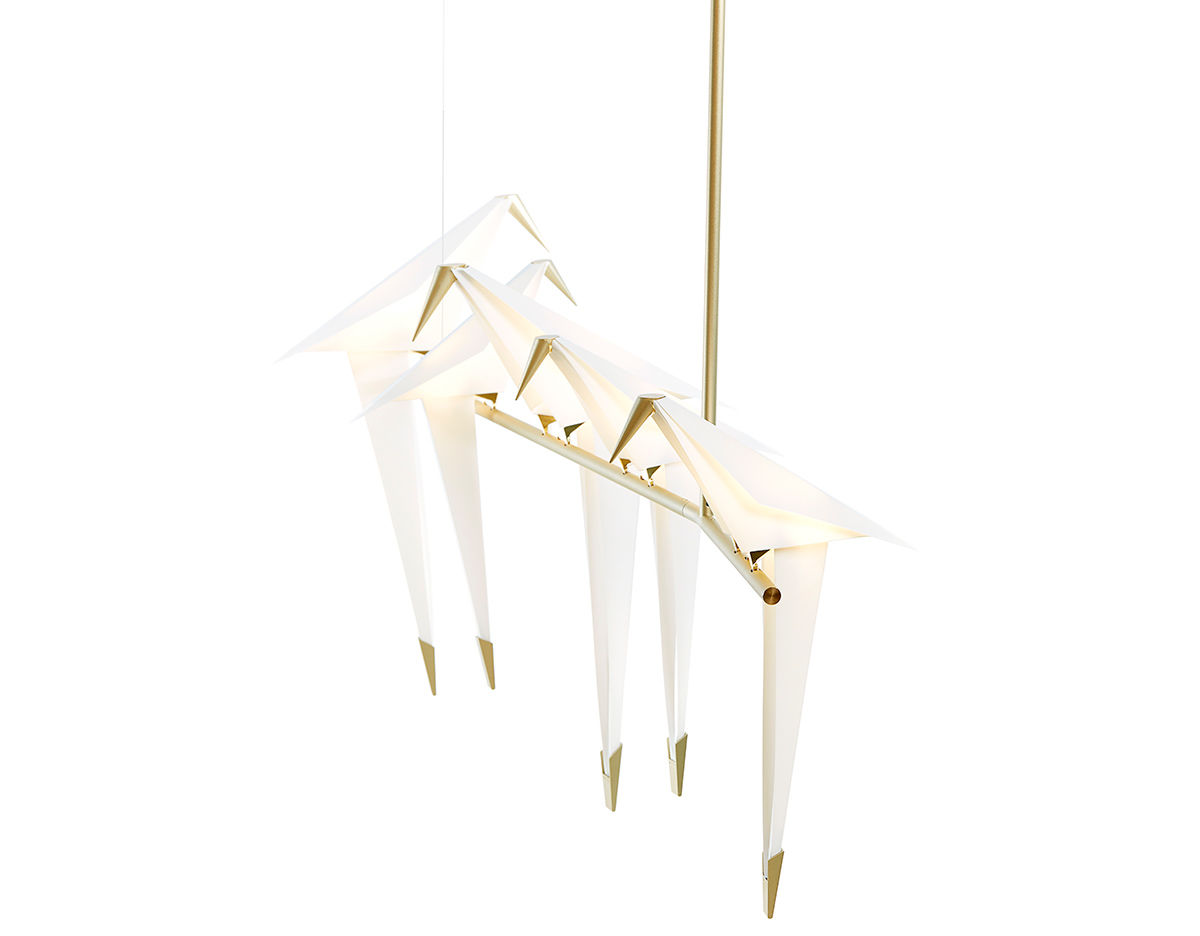 perch light branch