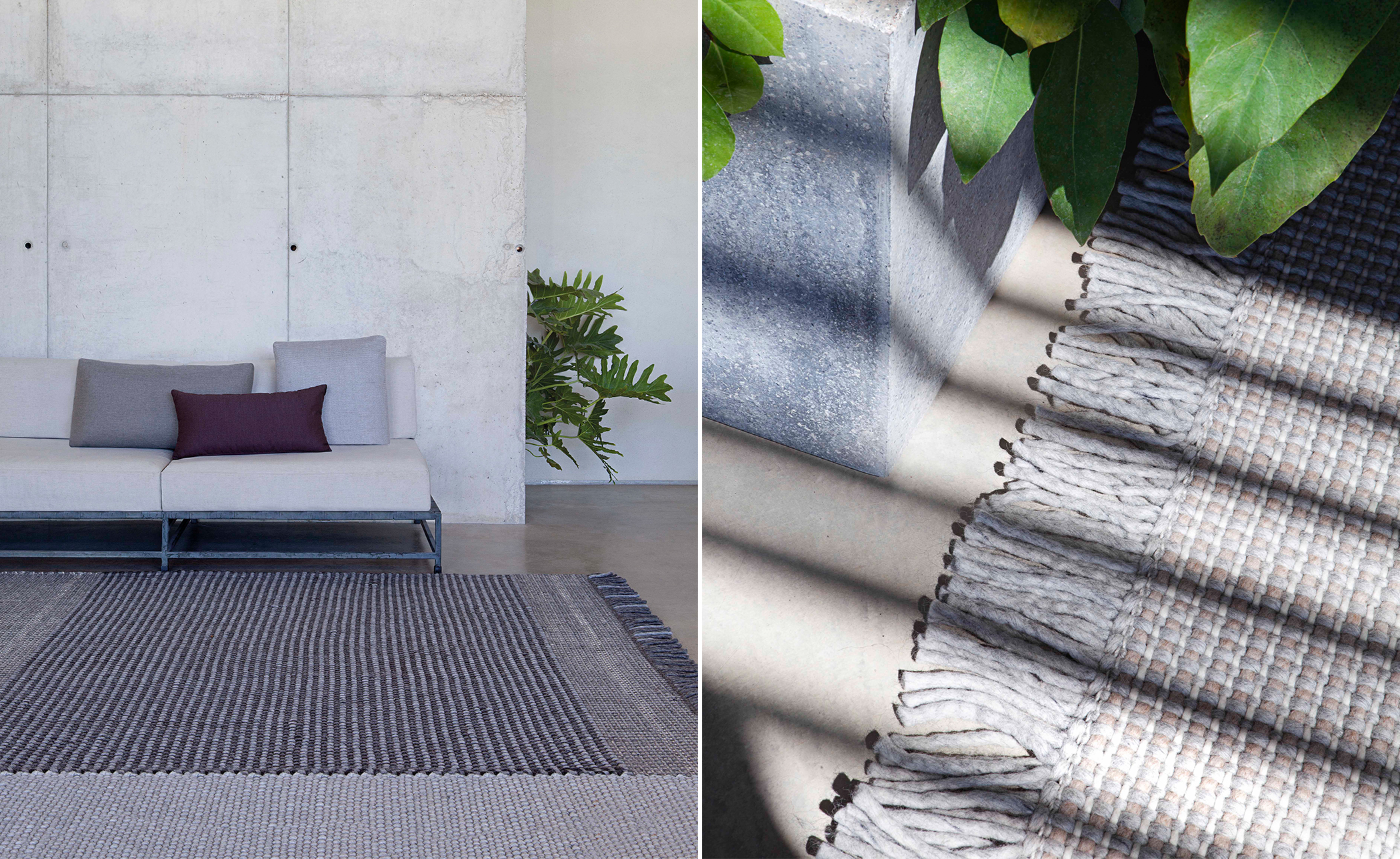 Pure Rug