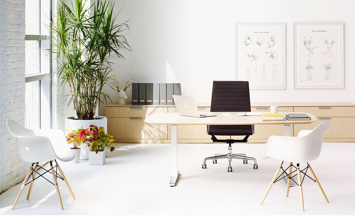 renew sit-to-stand oval t-foot table