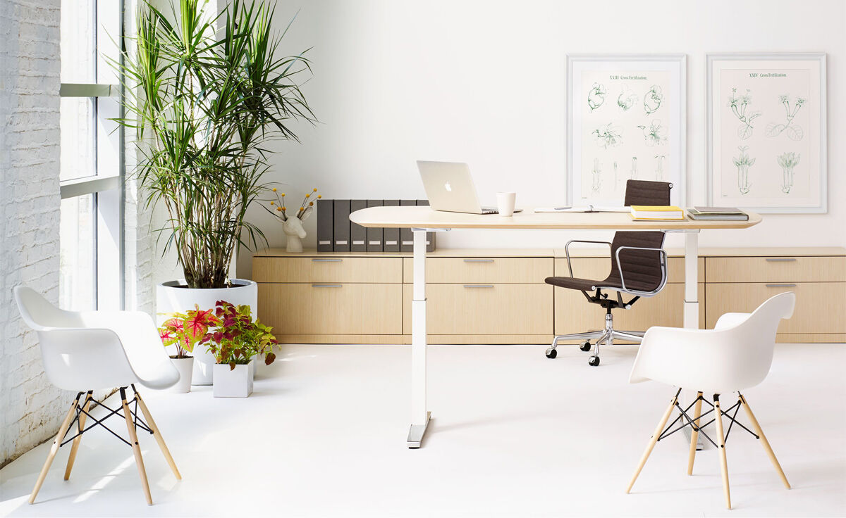 renew sit-to-stand oval t-foot table