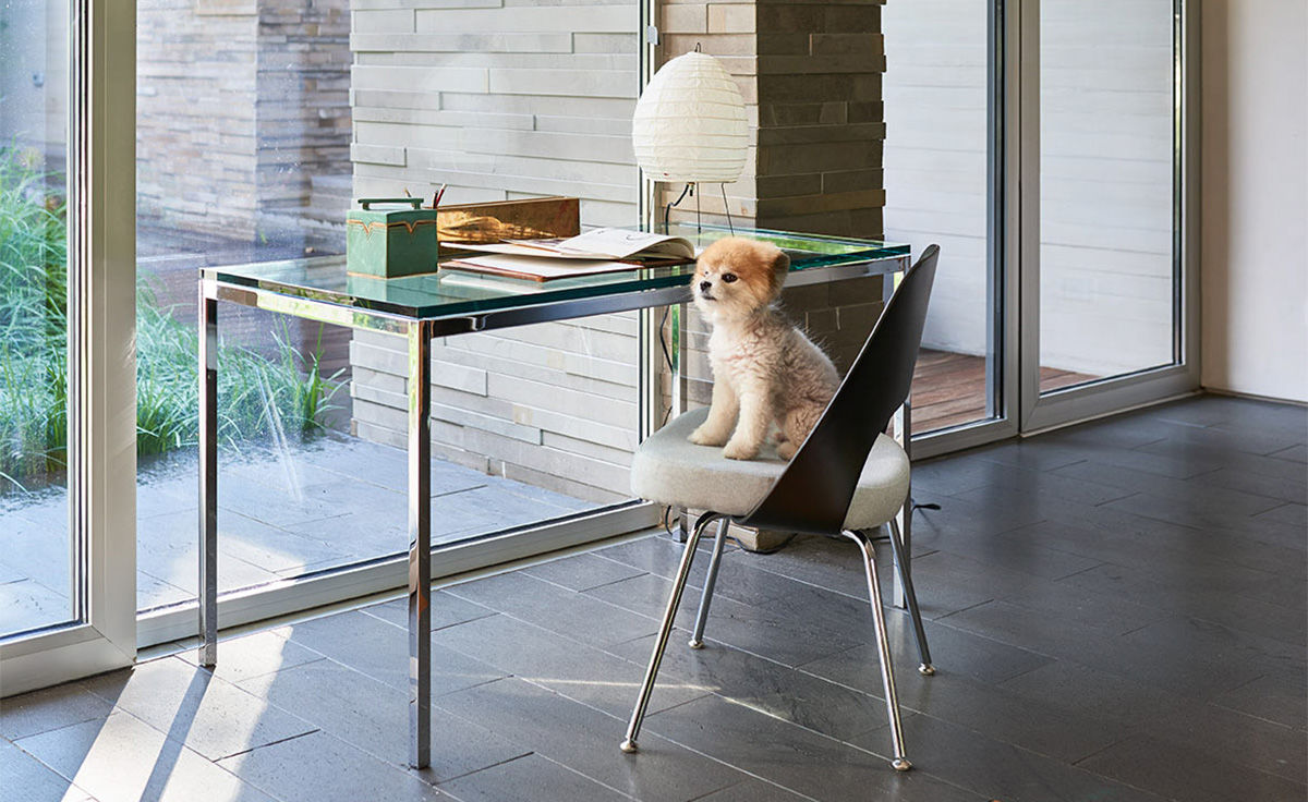 saarinen plastic back side chair with tubular legs