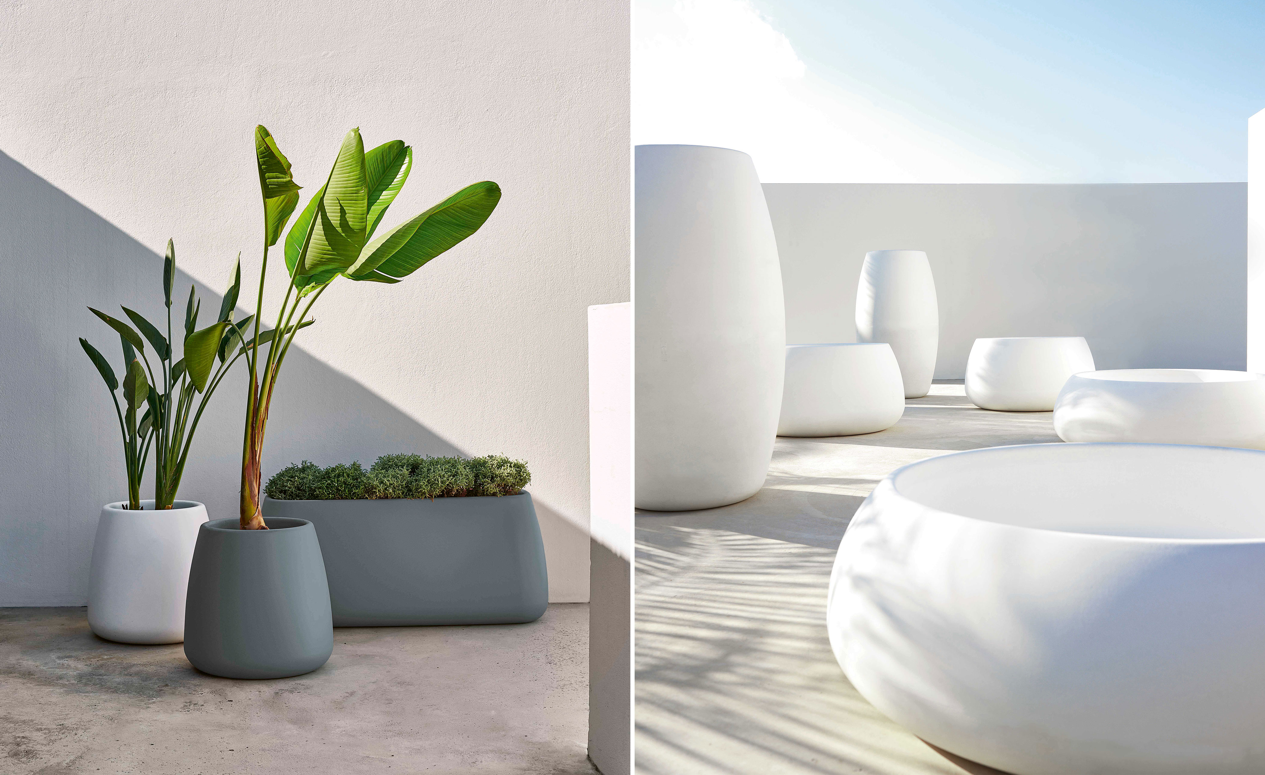 Sahara Planter 4