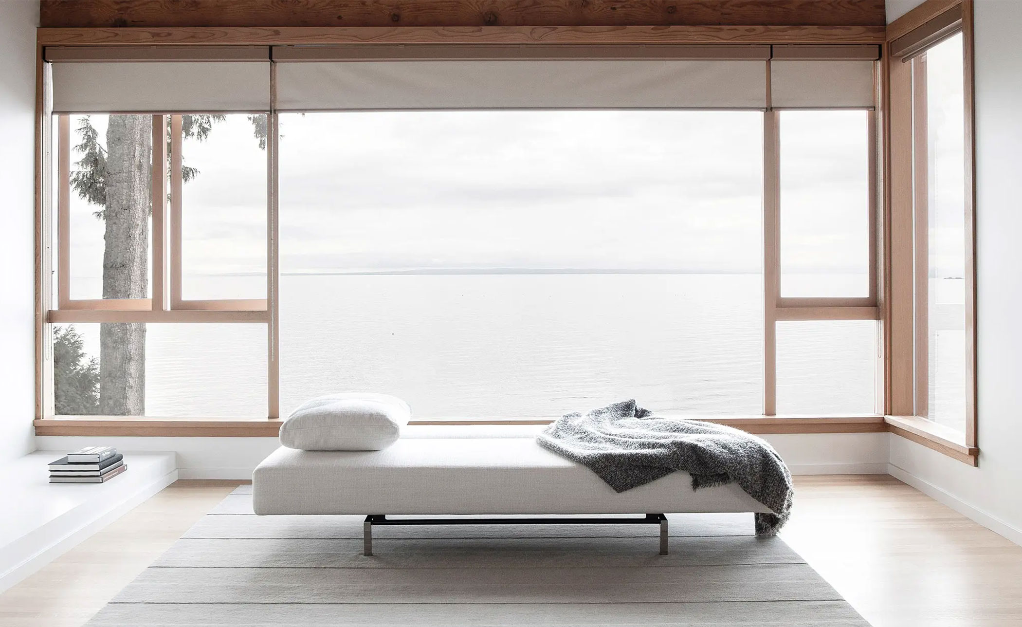 sleeper sofa with 2 cushions