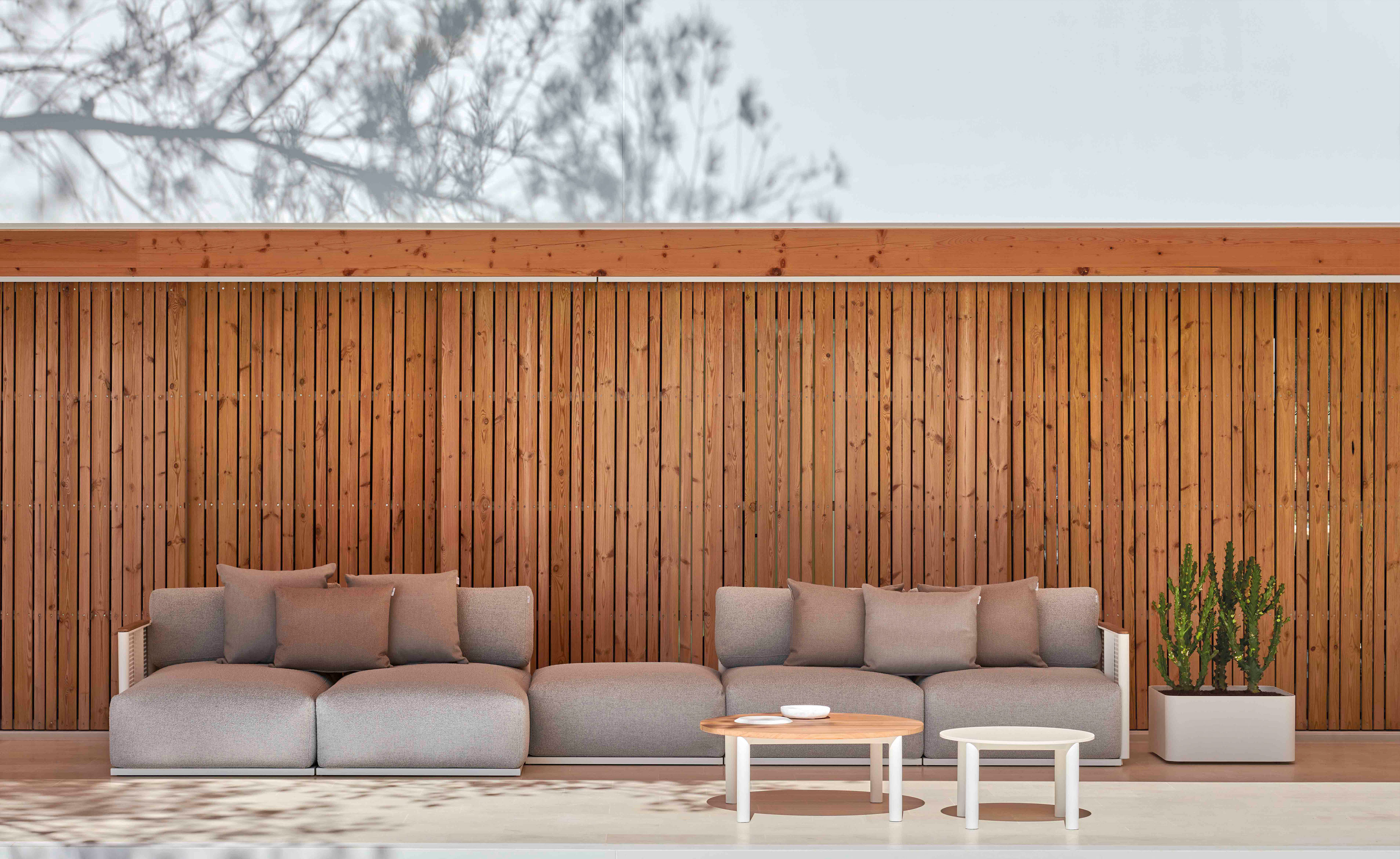 Sonora Planter