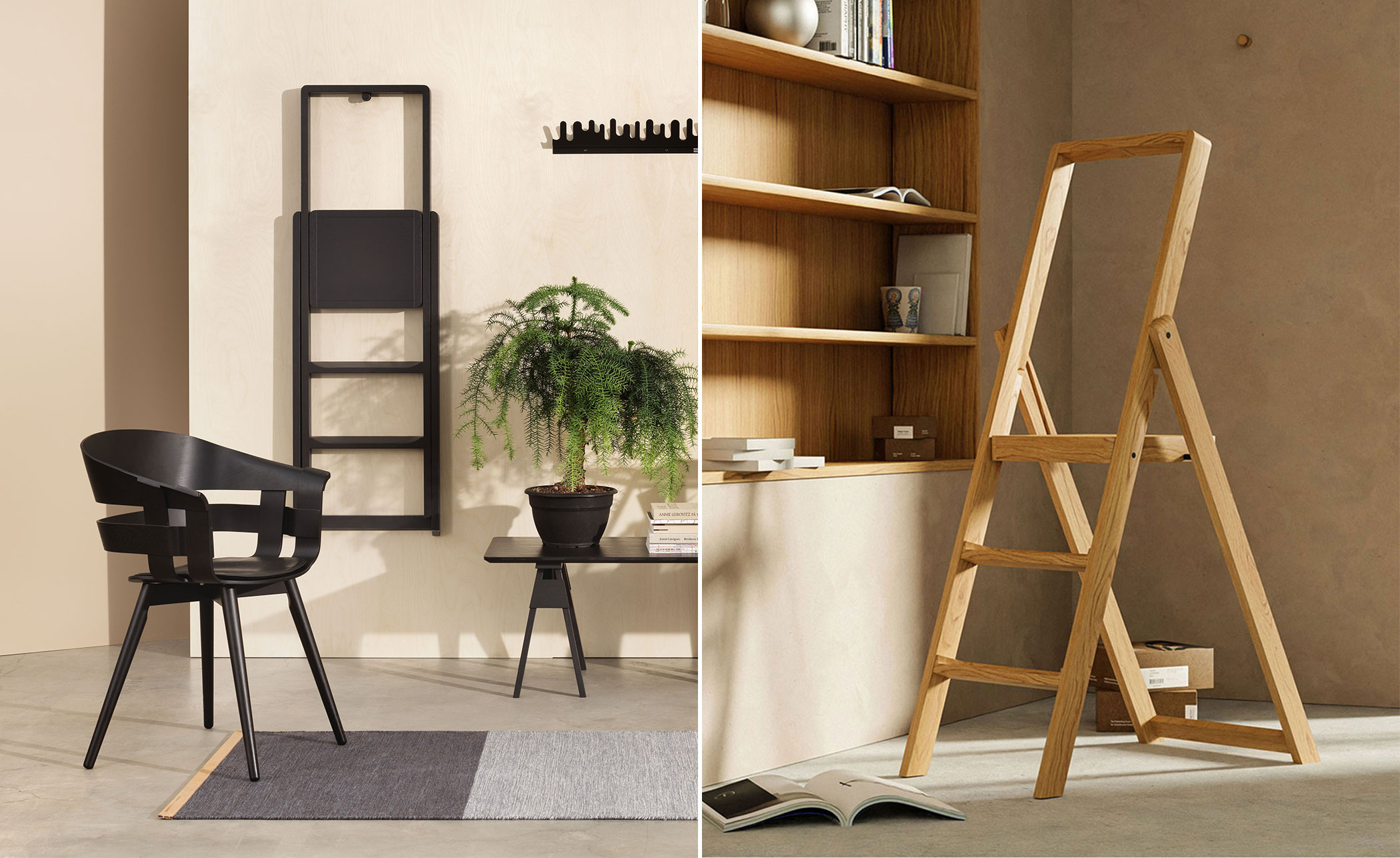 Step Stepladder