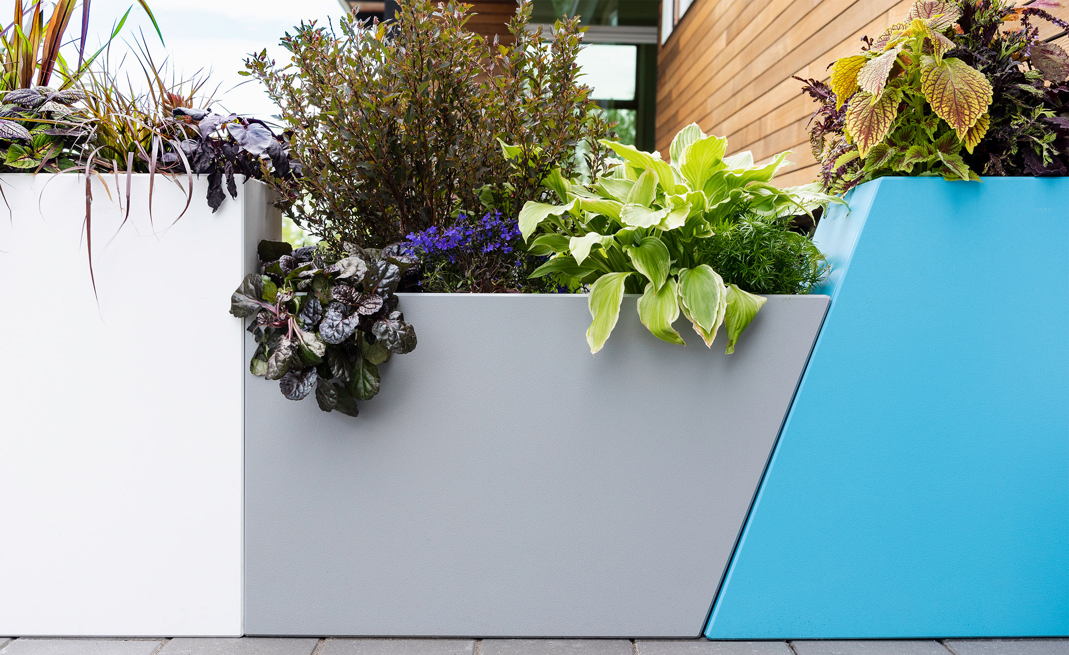 Tessellate Rectangle Planter