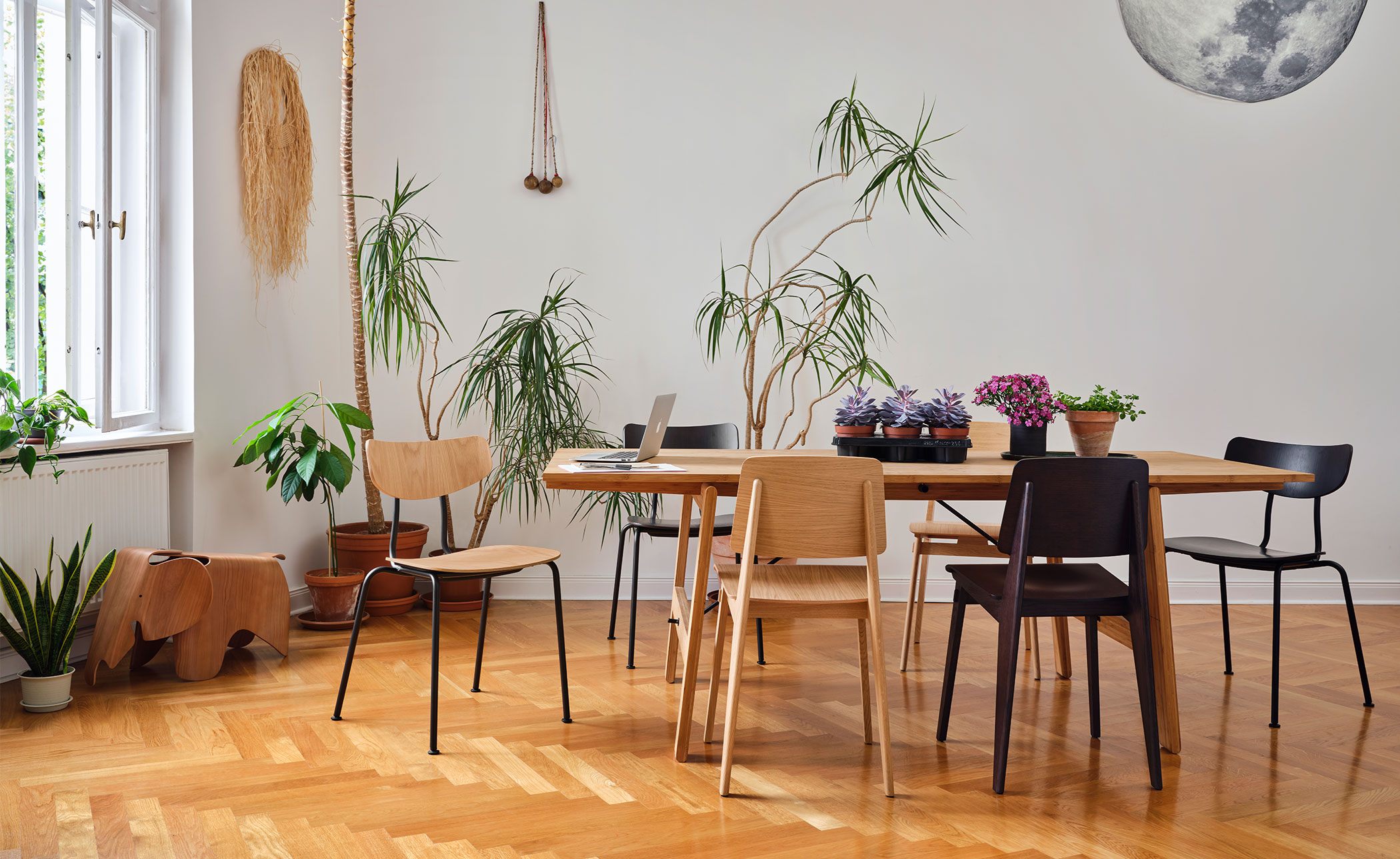 Prouvé Tout Bois Chair