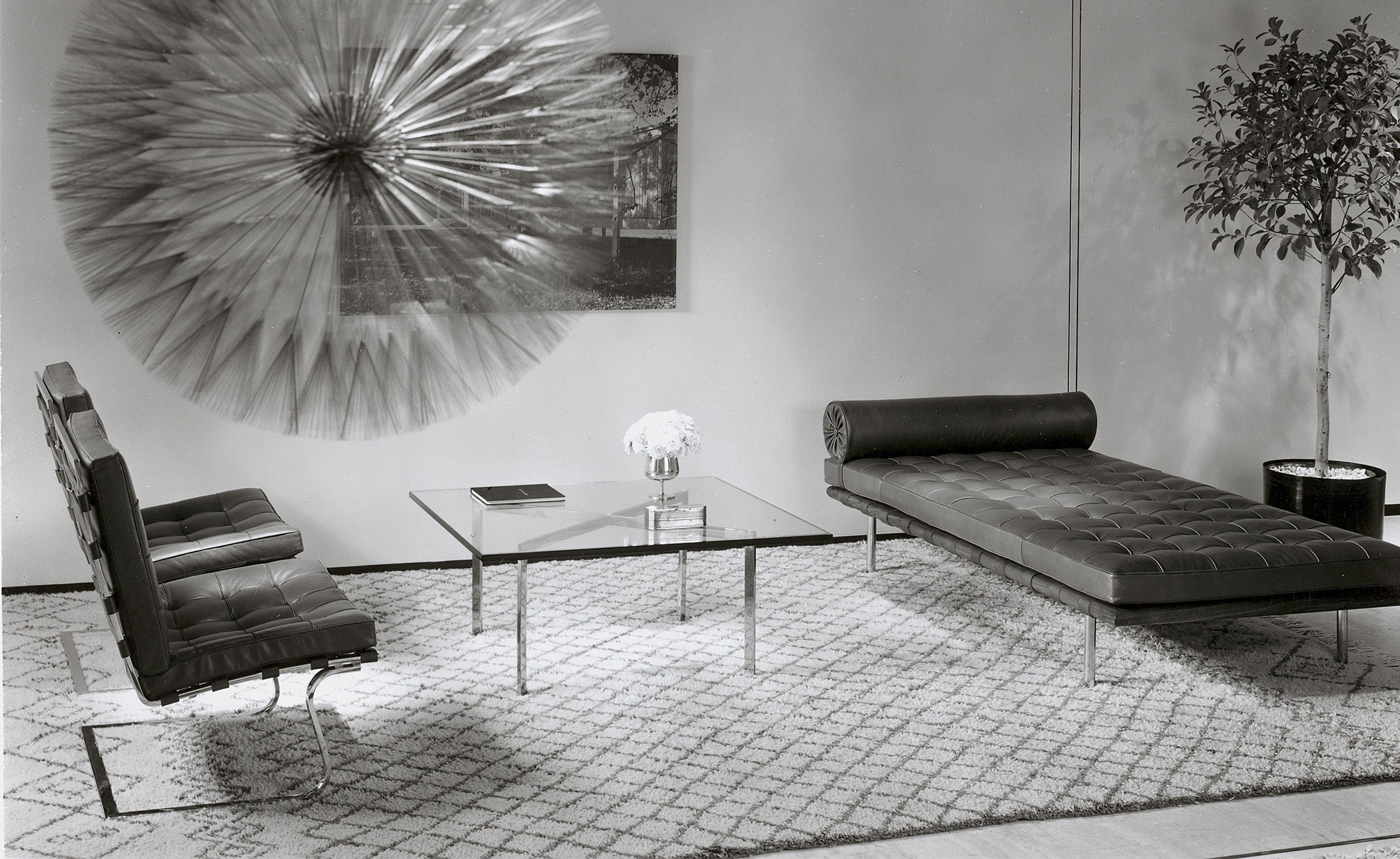 Tugendhat Chair