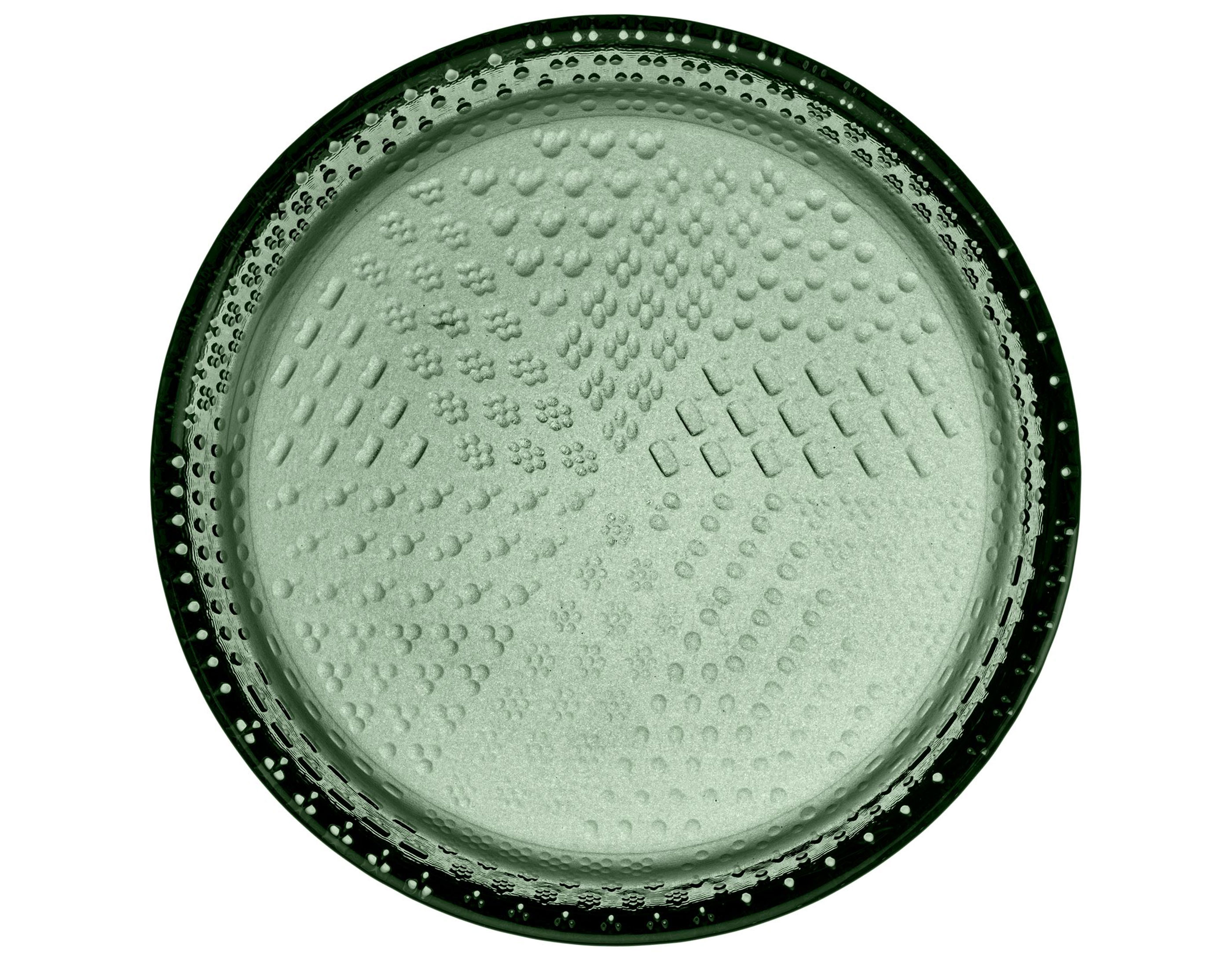 Tundra Plate